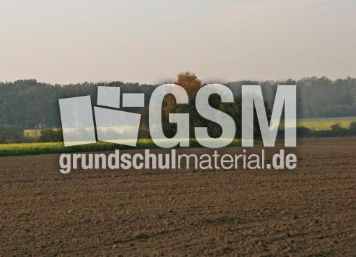 Herbststimmung-24-10-09 010.jpg